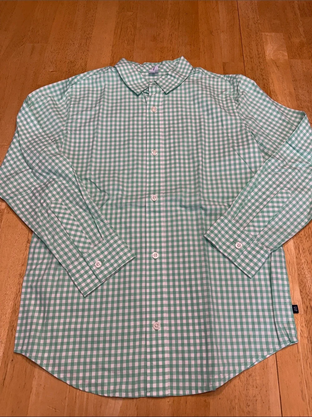 GAP Men's Mint Green and White Gingham Button-Down Shirt